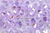 Swarovski, margele bicone, violet AB, 6mm - x10