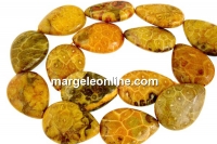 Margele coral fosil, picatura, 25x18mm