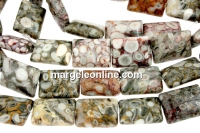 Margele jasp fosilizat cu incluziuni, natural, dreptunghi, 16x12mm
