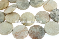 Margele coral fosil, disc plat, 25mm