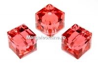 Swarovski, cube bead, padparadscha, 8mm - x1