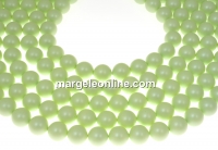 Perle Swarovski, pastel green, 10mm - x20