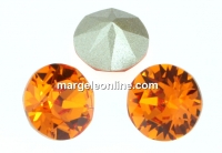 Swarovski, chaton pp10, tangerine, 1.6mm - x20