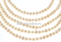 Freshwater Pearls - 7x6mm, white