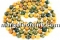 Margele coral fosil, oval, 25x18mm