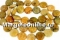 Margele coral fosil, disc, 12.5mm