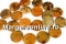Margele coral fosil, oval, 18x13mm