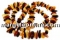 Baltic amber, necklace free form, 13-20mm