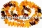 Bracelet with natural amber beads , chips , 5 -8mm
