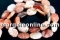 Margele agate naturale Morocco, octogon, 30x20mm