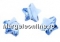 Swarovski, star bead, sunflower, 12mm - x2