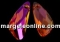Swarovski, wing pendant, astral pink, 23mm - x1