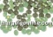 Swarovski, chaton pp21, chrysolite, 2.8mm - x20