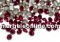 Swarovski, chaton PP14, purple velvet, 2mm - x20