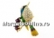 Bratara  shamballa cu link fluture - x1