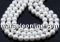 Preciosa pearl, white, 10mm - x20