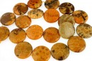 Margele coral fosil, disc plat, 20mm