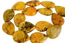 Margele coral fosil, picatura, 25x18mm