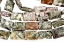 Margele jasp fosilizat cu incluziuni, natural, dreptunghi, 16x12mm