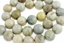 Margele coral fosil natural, rotund, 12mm