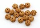 Margele rudraksha, naturale, rotund, 8-9mm - x30