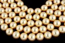 Ideal premium pearls, gold, 6mm - x50