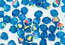 Swarovski, margele bicone, caribbean blue AB, 6mm - x10