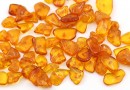 Natural amber chips beads, bulk, 10-14mm - x15g