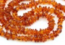 Natural Amber Chips Beads, 8-10mm